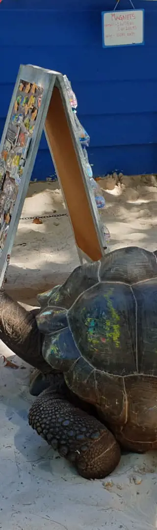 Riesenschildkröten